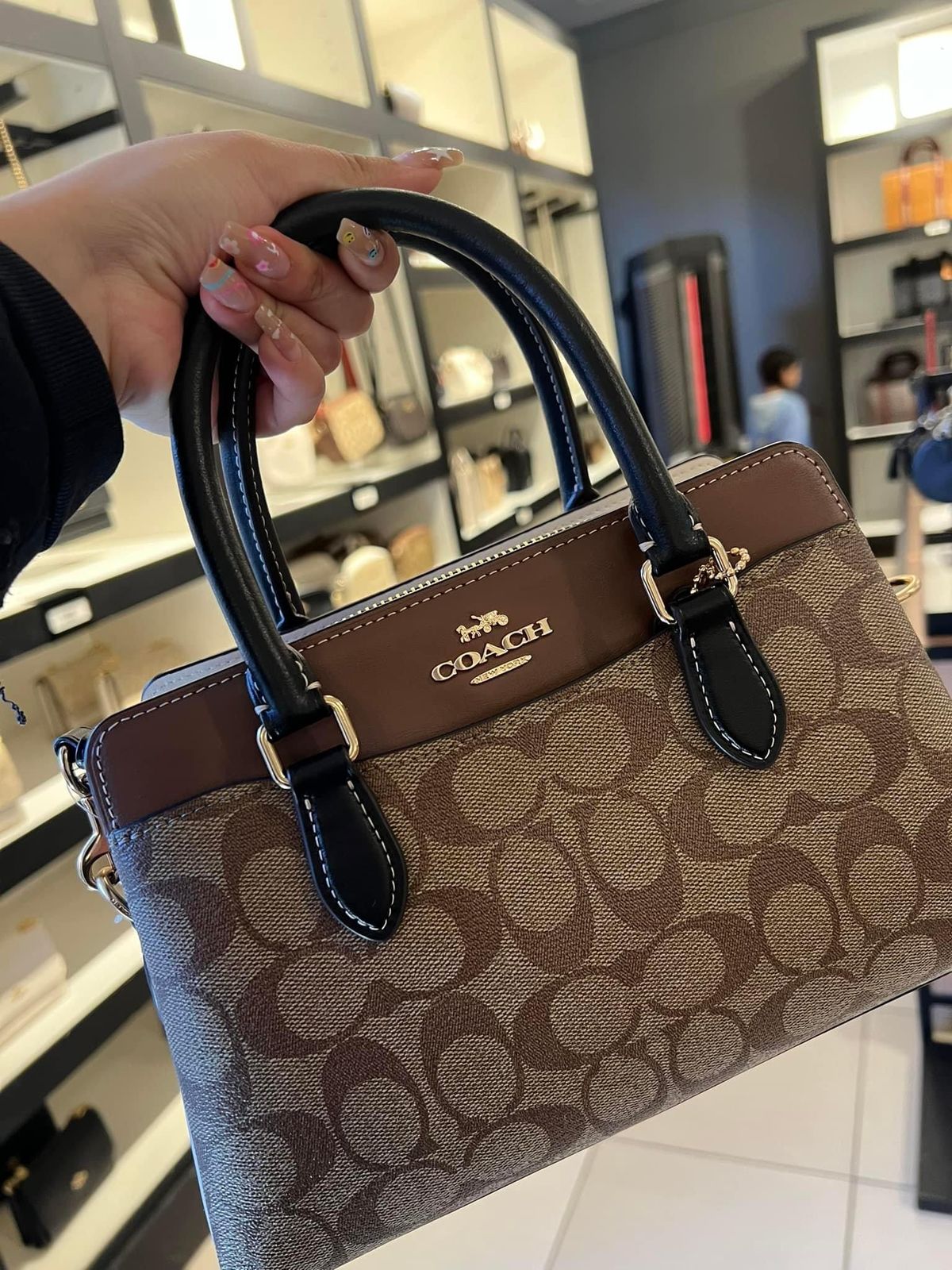 Luxury Signature Canvas Satchel Bag – Brown & Black