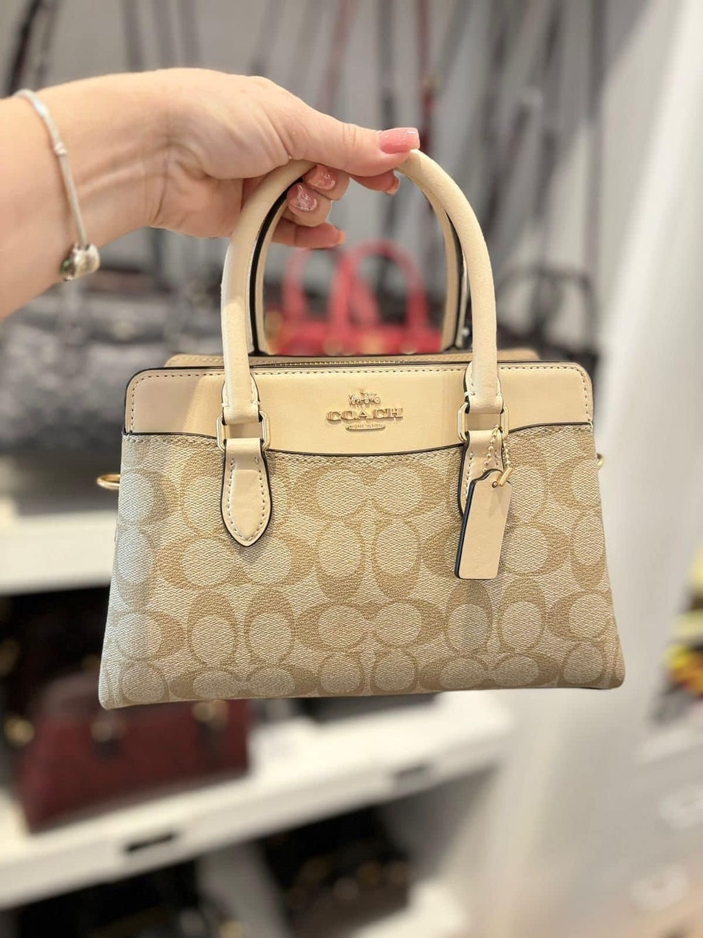 Luxury Signature Canvas Handbag – Cream & Beige