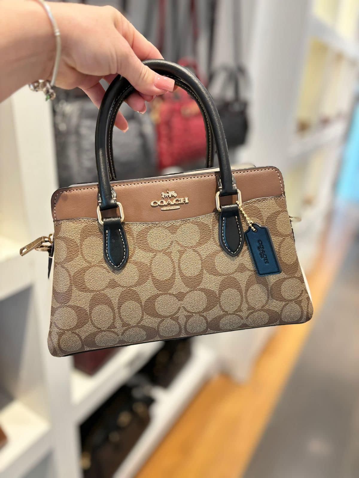 Luxury Signature Canvas Satchel Bag – Brown & Black